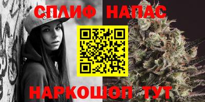 PSILOCYBIN Берёзовский